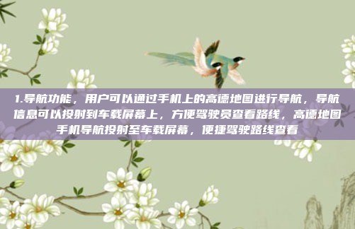 1.导航功能，用户可以通过手机上的高德地图进行导航，导航信息可以投射到车载屏幕上，方便驾驶员查看路线，高德地图手机导航投射至车载屏幕，便捷驾驶路线查看
