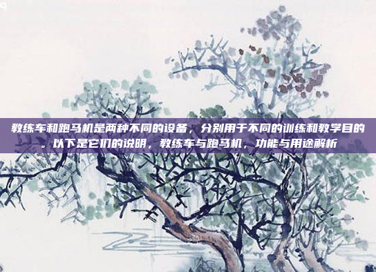 教练车和跑马机是两种不同的设备，分别用于不同的训练和教学目的。以下是它们的说明，教练车与跑马机，功能与用途解析