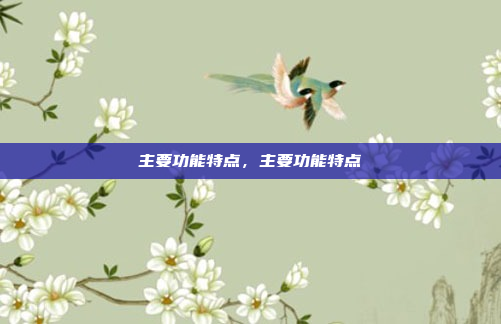 主要功能特点，主要功能特点