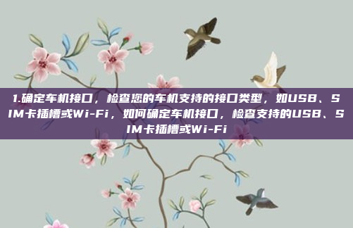 1.确定车机接口，检查您的车机支持的接口类型，如USB、SIM卡插槽或Wi-Fi，如何确定车机接口，检查支持的USB、SIM卡插槽或Wi-Fi