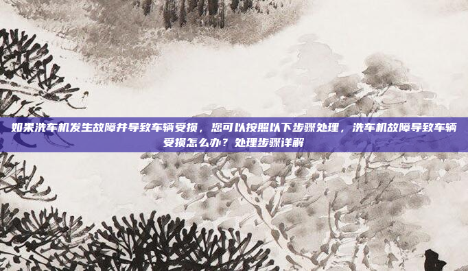 如果洗车机发生故障并导致车辆受损，您可以按照以下步骤处理，洗车机故障导致车辆受损怎么办？处理步骤详解