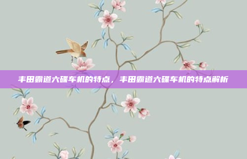 丰田霸道六碟车机的特点，丰田霸道六碟车机的特点解析