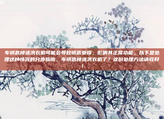 车钥匙掉进洗衣机可能会导致钥匙受损，影响其正常功能。以下是处理这种情况的分步指南，车钥匙掉进洗衣机了？这份处理方法请收好！