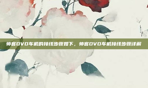 帅客DVD车机的接线步骤如下，帅客DVD车机接线步骤详解
