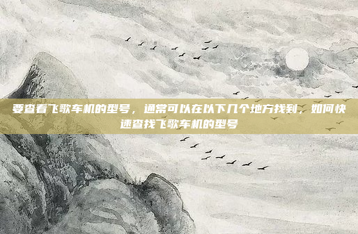 要查看飞歌车机的型号，通常可以在以下几个地方找到，如何快速查找飞歌车机的型号