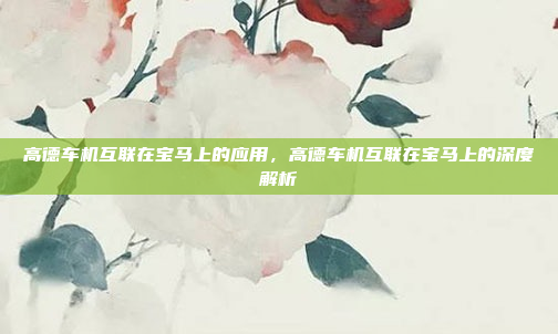 高德车机互联在宝马上的应用,高德车机互联在宝马上的深度解析