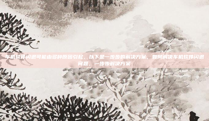 车机软件闪退可能由多种原因引起，以下是一步步的解决方案，如何解决车机软件闪退问题，一步步解决方案