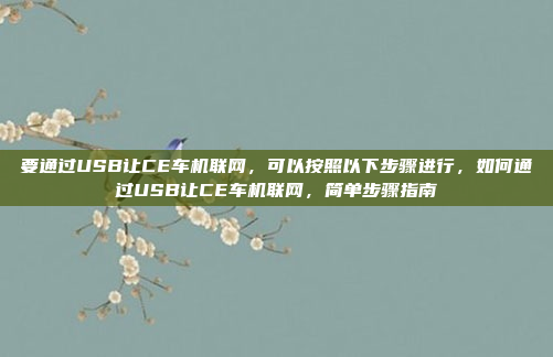 要通过USB让CE车机联网，可以按照以下步骤进行，如何通过USB让CE车机联网，简单步骤指南