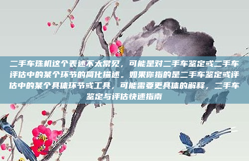 二手车珠机这个表述不太常见,可能是对二手车鉴定或二手车评估中的某个环节的简化描述。如果你指的是二手车鉴定或评估中的某个具体环节或工具,可能需要更具体的解释,二手车鉴定与评估快速指南
