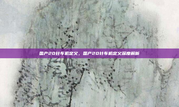 国产20针车机定义,国产20针车机定义深度解析
