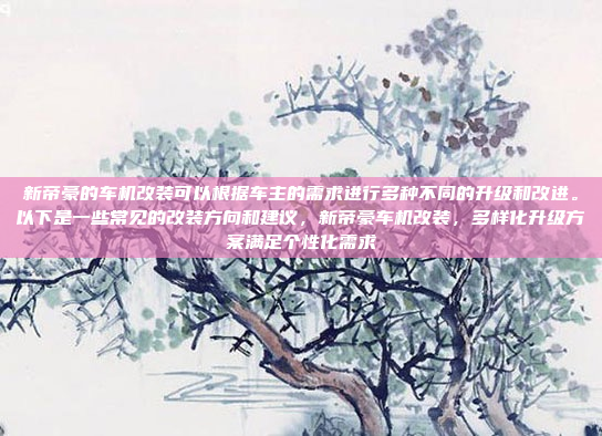 新帝豪的车机改装可以根据车主的需求进行多种不同的升级和改进。以下是一些常见的改装方向和建议,新帝豪车机改装,多样化升级方案满足个性化需求