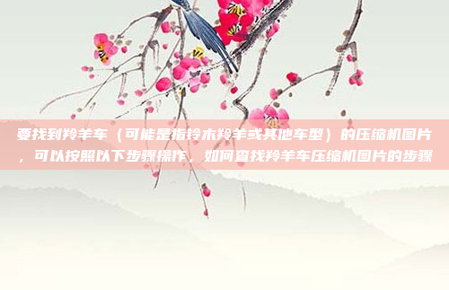 要找到羚羊车(可能是指铃木羚羊或其他车型)的压缩机图片,可以按照以下步骤操作,如何查找羚羊车压缩机图片的步骤