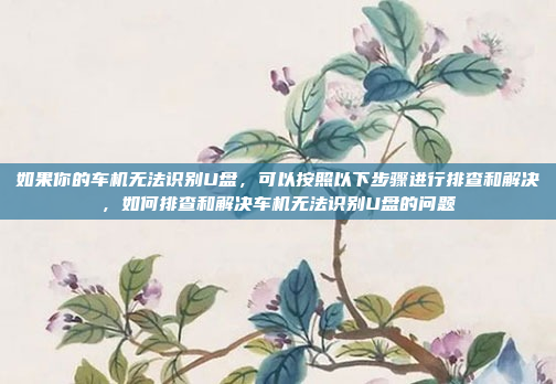 如果你的车机无法识别U盘，可以按照以下步骤进行排查和解决，如何排查和解决车机无法识别U盘的问题