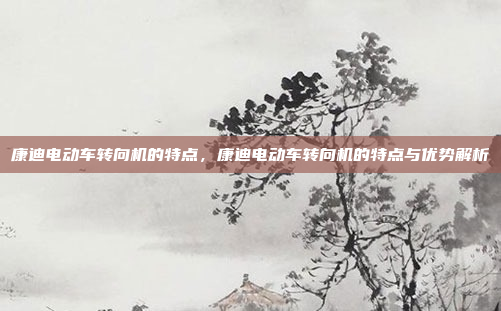 康迪电动车转向机的特点,康迪电动车转向机的特点与优势解析