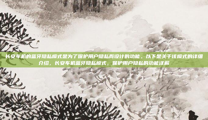 长安车机的蓝牙隐私模式是为了保护用户隐私而设计的功能。以下是关于该模式的详细介绍,长安车机蓝牙隐私模式,保护用户隐私的功能详解