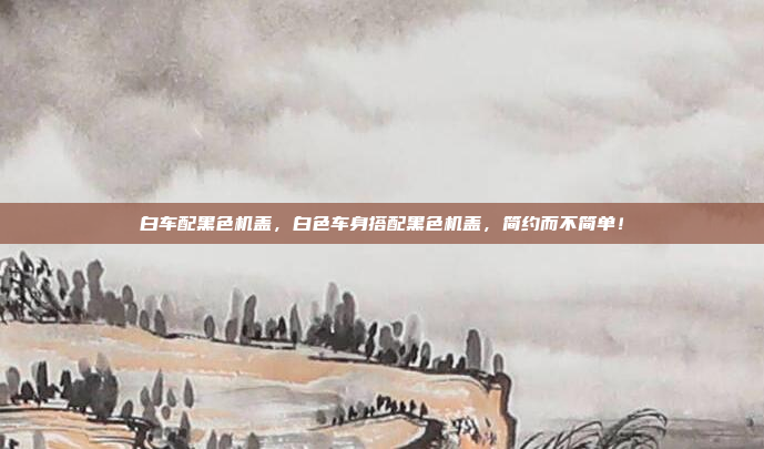 白车配黑色机盖，白色车身搭配黑色机盖，简约而不简单！