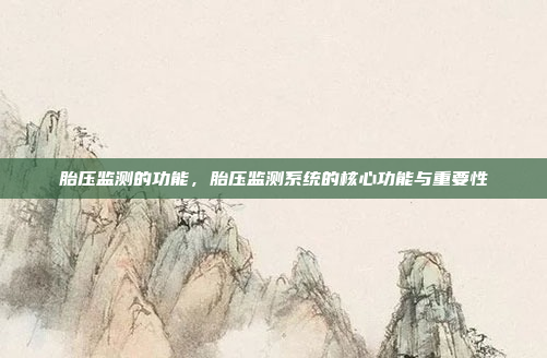 胎压监测的功能,胎压监测系统的核心功能与重要性