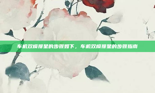 车机双模搜星的步骤如下,车机双模搜星的步骤指南