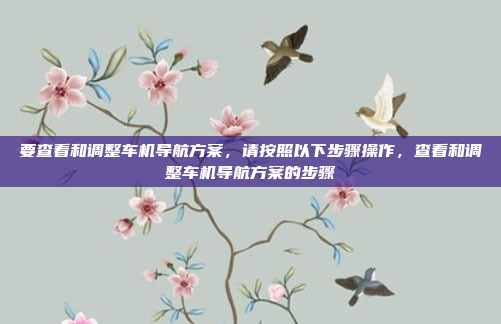 要查看和调整车机导航方案，请按照以下步骤操作，查看和调整车机导航方案的步骤
