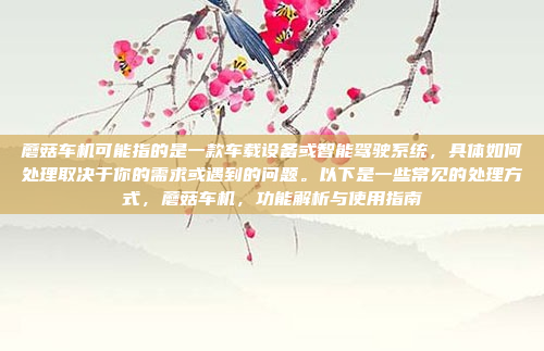 蘑菇车机可能指的是一款车载设备或智能驾驶系统，具体如何处理取决于你的需求或遇到的问题。以下是一些常见的处理方式，蘑菇车机，功能解析与使用指南