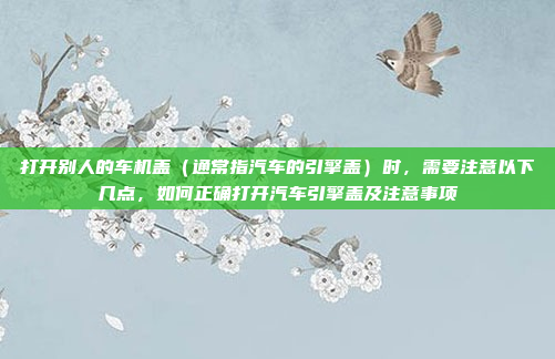 打开别人的车机盖（通常指汽车的引擎盖）时，需要注意以下几点，如何正确打开汽车引擎盖及注意事项
