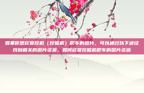 如果你想欣赏挖机(挖掘机)爬车的图片,可以通过以下途径找到相关的图片资源,如何欣赏挖掘机爬车的图片资源