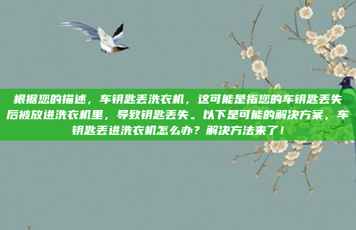 根据您的描述,车钥匙丢洗衣机,这可能是指您的车钥匙丢失后被放进洗衣机里,导致钥匙丢失。以下是可能的解决方案,车钥匙丢进洗衣机怎么办?解决方法来了!