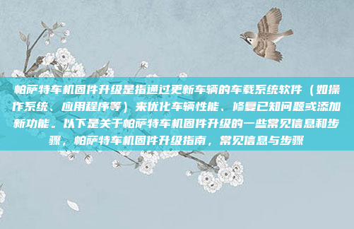 帕萨特车机固件升级是指通过更新车辆的车载系统软件（如操作系统、应用程序等）来优化车辆性能、修复已知问题或添加新功能。以下是关于帕萨特车机固件升级的一些常见信息和步骤，帕萨特车机固件升级指南，常见信息与步骤