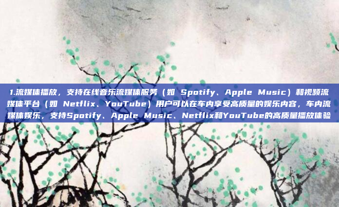 1.流媒体播放,支持在线音乐流媒体服务(如 Spotify、Apple Music)和视频流媒体平台(如 Netflix、YouTube)用户可以在车内享受高质量的娱乐内容,车内流媒体娱乐,支持Spotify、Apple Music、Netflix和YouTube的高质量播放体验
