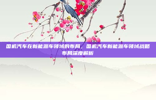 国机汽车在新能源车领域的布局,国机汽车新能源车领域战略布局深度解析