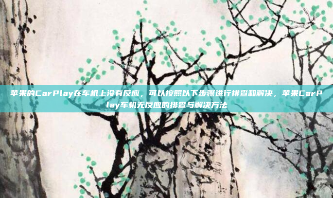 苹果的CarPlay在车机上没有反应,可以按照以下步骤进行排查和解决,苹果CarPlay车机无反应的排查与解决方法