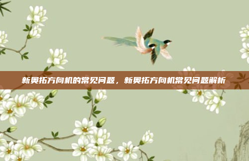 新奥拓方向机的常见问题,新奥拓方向机常见问题解析