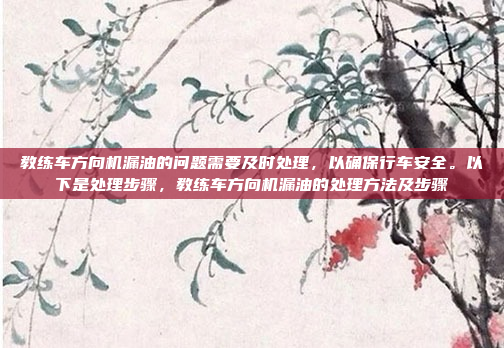 教练车方向机漏油的问题需要及时处理，以确保行车安全。以下是处理步骤，教练车方向机漏油的处理方法及步骤