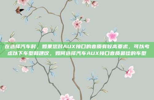 在选择汽车时,如果您对AUX接口的音质有较高要求,可以考虑以下车型和建议,如何选择汽车AUX接口音质最佳的车型