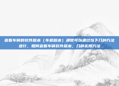 查看车辆的软件版本（车机版本）通常可以通过以下几种方法进行，如何查看车辆软件版本，几种实用方法