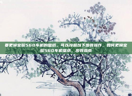 要更换宝骏560车机的壁纸，可以按照以下步骤操作，如何更换宝骏560车机壁纸，步骤指南