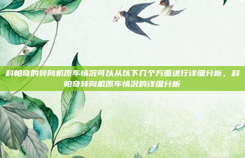 科帕奇的转向机原车情况可以从以下几个方面进行详细分析,科帕奇转向机原车情况的详细分析