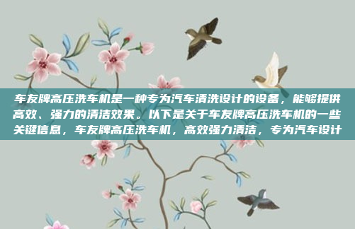 车友牌高压洗车机是一种专为汽车清洗设计的设备，能够提供高效、强力的清洁效果。以下是关于车友牌高压洗车机的一些关键信息，车友牌高压洗车机，高效强力清洁，专为汽车设计