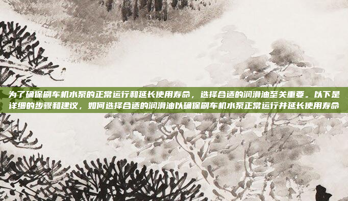 为了确保刷车机水泵的正常运行和延长使用寿命,选择合适的润滑油至关重要。以下是详细的步骤和建议,如何选择合适的润滑油以确保刷车机水泵正常运行并延长使用寿命