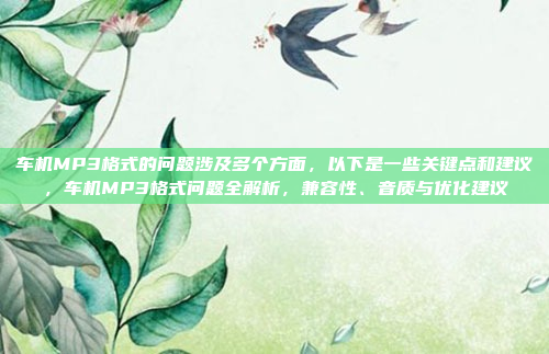 车机MP3格式的问题涉及多个方面,以下是一些关键点和建议,车机MP3格式问题全解析,兼容性、音质与优化建议