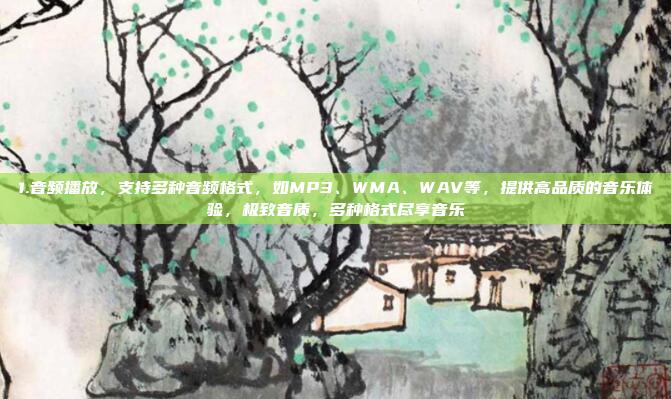 1.音频播放，支持多种音频格式，如MP3、WMA、WAV等，提供高品质的音乐体验，极致音质，多种格式尽享音乐