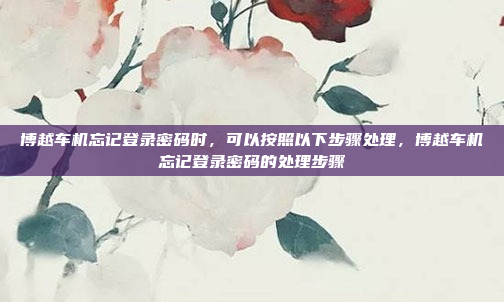 博越车机忘记登录密码时，可以按照以下步骤处理，博越车机忘记登录密码的处理步骤