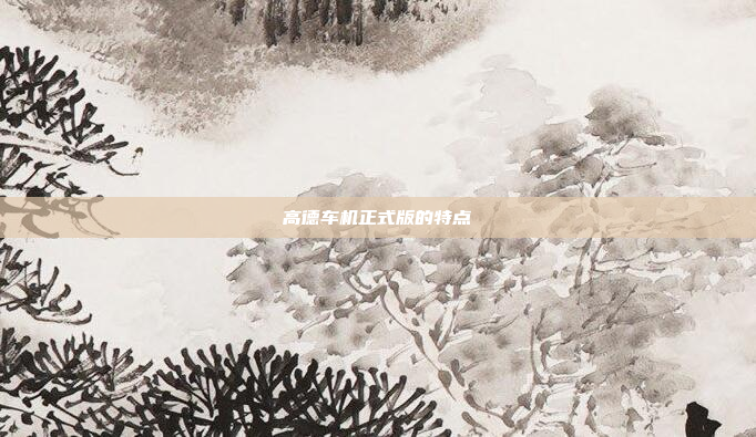 高德车机正式版的特点