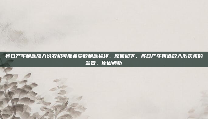 将日产车钥匙放入洗衣机可能会导致钥匙损坏,原因如下,将日产车钥匙放入洗衣机的警告,原因解析