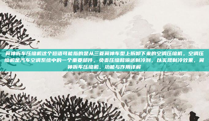翼神拆车压缩机这个短语可能指的是从三菱翼神车型上拆卸下来的空调压缩机。空调压缩机是汽车空调系统中的一个重要部件,负责压缩和输送制冷剂,以实现制冷效果,翼神拆车压缩机,功能与作用详解