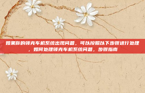 如果你的领克车机系统出现问题,可以按照以下步骤进行处理,如何处理领克车机系统问题,步骤指南