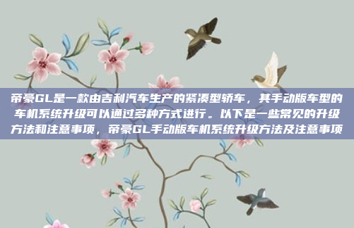 帝豪GL是一款由吉利汽车生产的紧凑型轿车,其手动版车型的车机系统升级可以通过多种方式进行。以下是一些常见的升级方法和注意事项,帝豪GL手动版车机系统升级方法及注意事项