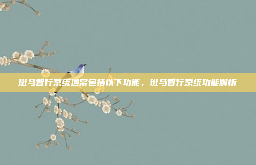 斑马智行系统通常包括以下功能，斑马智行系统功能解析