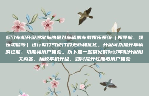 标致车机升级通常指的是对车辆的车载娱乐系统(如导航、娱乐功能等)进行软件或硬件的更新和优化。升级可以提升车辆的性能、功能和用户体验。以下是一些常见的标致车机升级相关内容,标致车机升级,如何提升性能与用户体验