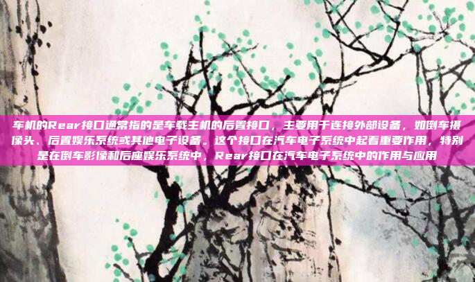 车机的Rear接口通常指的是车载主机的后置接口，主要用于连接外部设备，如倒车摄像头、后置娱乐系统或其他电子设备。这个接口在汽车电子系统中起着重要作用，特别是在倒车影像和后座娱乐系统中，Rear接口在汽车电子系统中的作用与应用